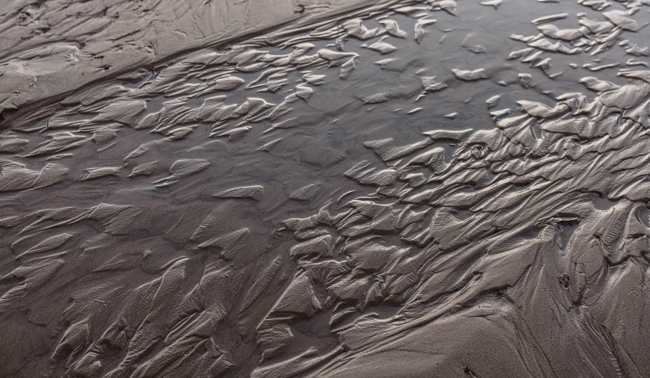 dunes-37.jpg